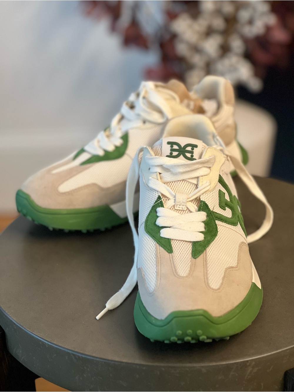 Sam Edelman Langley Cream and Green Lace-Up Sneaker
